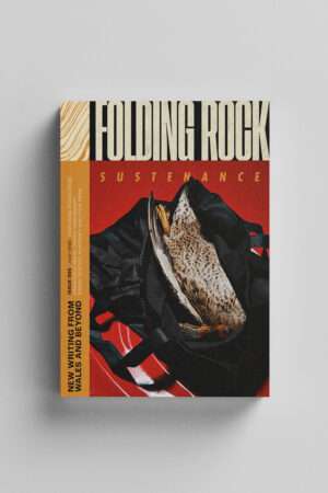 Folding Rock 005: Sustenance